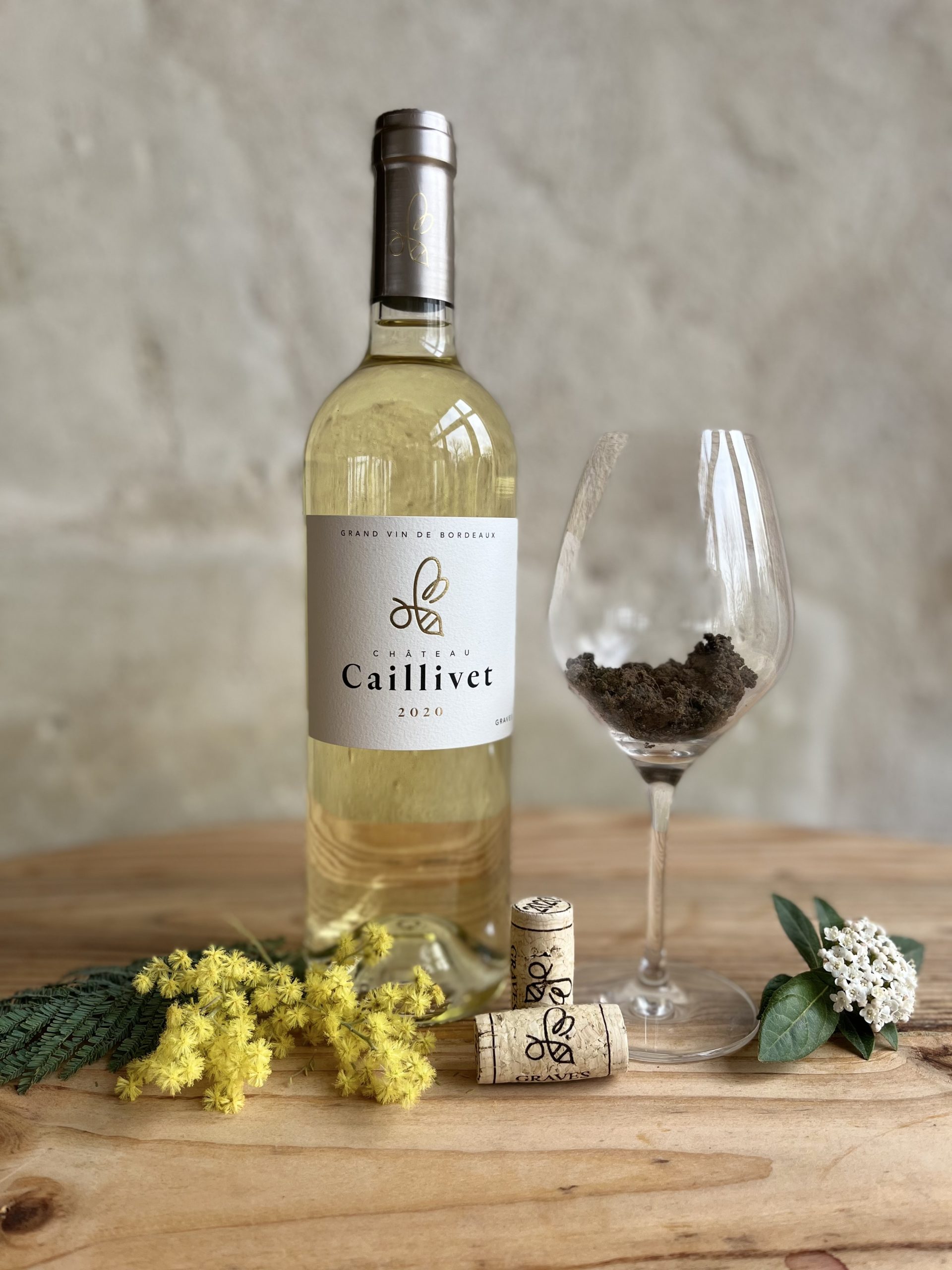 Blanc 2020 geo senso